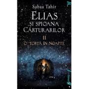 ELIAS SI SPIOANA CARTURARILOR II. O TORTA IN NOAPTE