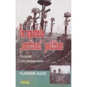 IN SPATELE "CORTINEI" POLITICE