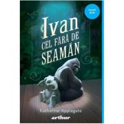 IVAN CEL FARA DE SEAMAN. Paperback