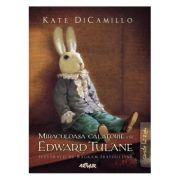 MIRACULOASA CALATORIE A LUI EDWARD TULANE
