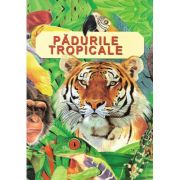 PADURILE TROPICALE