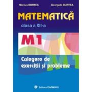 MATEMATICA M1. CULEGERE DE EXERCITII SI PROBLEME. CLASA A XII-A