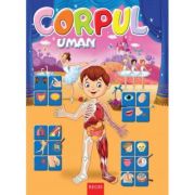 CORPUL UMAN