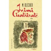 INIMI CICATRIZATE