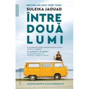 INTRE DOUA LUMI