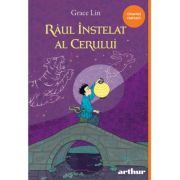 RAUL INSTELAT AL CERULUI. Paperback