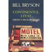 CONTINENTUL UITAT. AMERICA MICILOR ORASE