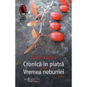 CRONICA IN PIATRA. VREMEA NEBUNIEI