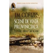 SCENE DE VIATA PROVINCIALA. Copilarie. Tinerete. Miezul verii