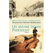 UN ANUME DOMN PIEKIELNY
