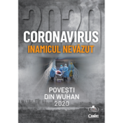 CORONAVIRUS 2020. INAMICUL NEVAZUT