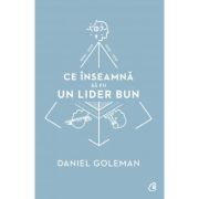 CE ÎNSEAMNĂ SĂ FII UN LIDER BUN