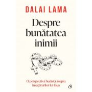 DESPRE BUNĂTATEA INIMII