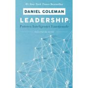 LEADERSHIP: Puterea Inteligenței Emoționale
