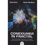 CONEXIUNEA ÎN FRACTAL. Legile și principiile de funcționare a Universului