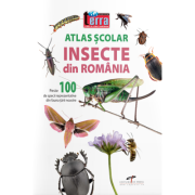 ATLAS ȘCOLAR INSECTE DIN ROMÂNIA