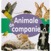 Animale de companie