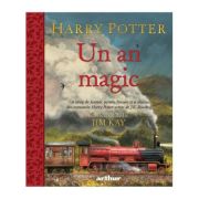 HARRY POTTER. UN AN MAGIC