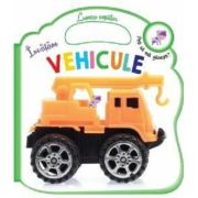 Învățăm vehicule