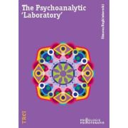 THE PSYCHOANALYTIC 'LABORATORY'