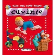 Mica mea carte despre cuvinte