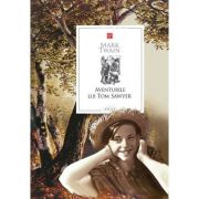 Aventurile lui Tom Sawyer