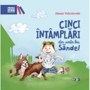 Cinci întâmplări din viața lui Săndel