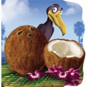 Nuca de cocos. Primii paşi