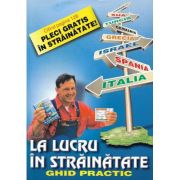 La lucru în străinătate. Ghid practic