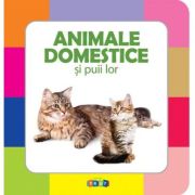 Animale domestice și puii lor
