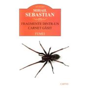 Fragmente dintr-un carnet găsit. Femei
