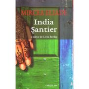 India.Șantier