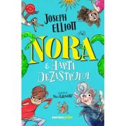 Nora și harta dezastrului