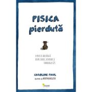 Pisica pierdută