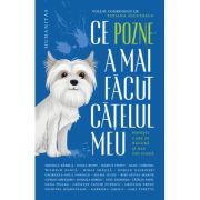 Ce pozne-a mai făcut cățelul meu