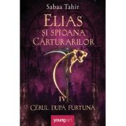 Elias şi spioana Cărturarilor IV. Cerul după furtună
