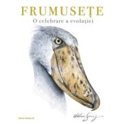 Frumusețe. O celebrare a evoluției