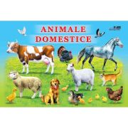 Animale Domestice