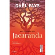 Jacaranda