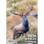 Calendar de perete 2026 cu 12 file. Wildlife în România