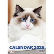 Calendar de perete 2026 cu 12 file. Pisici