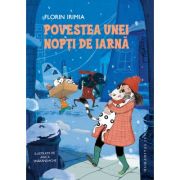 Povestea unei nopți de iarnă