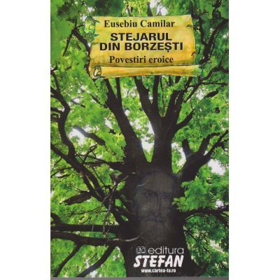STEJARUL DN BORZESTI
