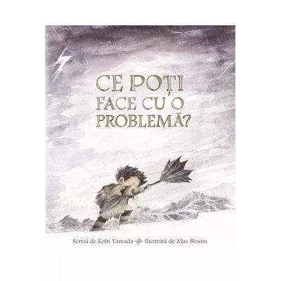 CE POTI FACE CU O PROBLEMA?