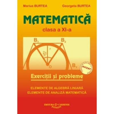 MATEMATICA. EXERCITII SI PROBLEME. CLASA A XI-A