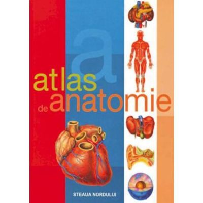 Atlas de anatomie