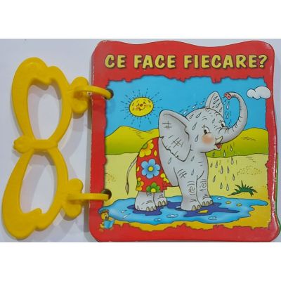 CE FACE FIECARE. CARTOANE CU MANER