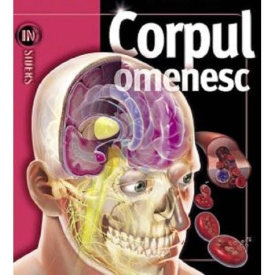 CORPUL OMENESC