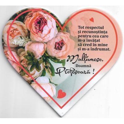 Tot respectul si recunostinta pentru cea care m-a invatat sa cred in mine si m-a indrumat. Multumesc, Doamna Profesoara!-magnet