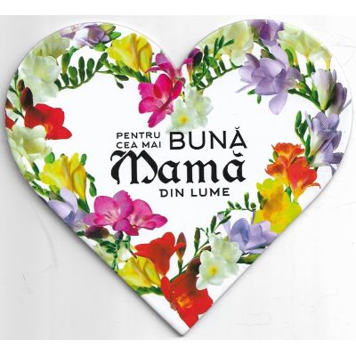 Pentru cea mai buna mama din lume-magnet